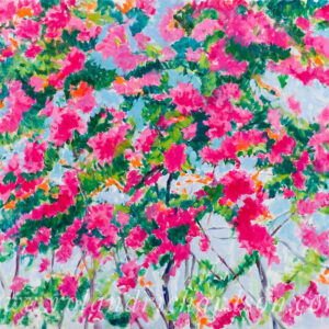 Candy Pink Bougainvillea Cascade