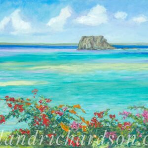 Creole Rock and Bougainvillea