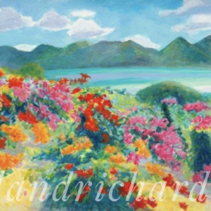 Rainbow Bougainvillea Overlooking the Sea