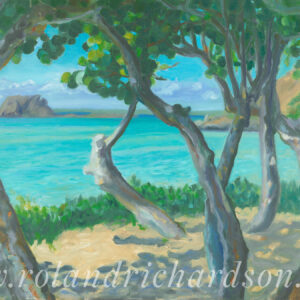 Sea Grapes, Grand Case