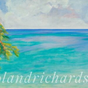 Flamboyant Branch over Baie Longue